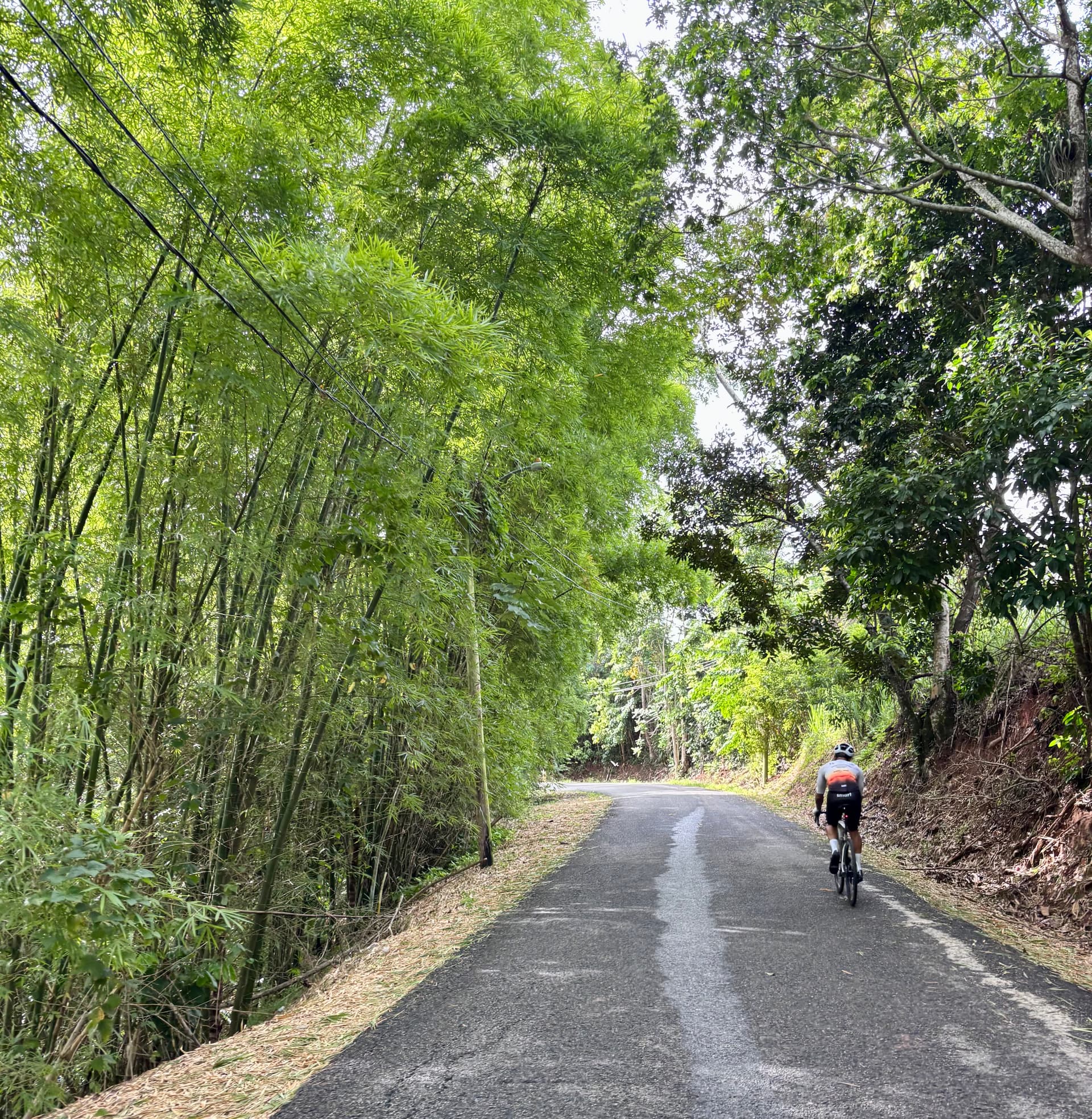 José Gomez — foto 3